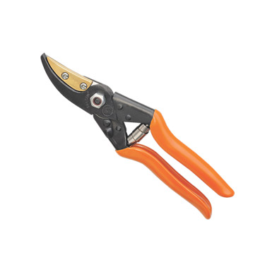 Cut and Hold Pruners