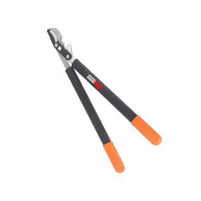 Lopping Shears